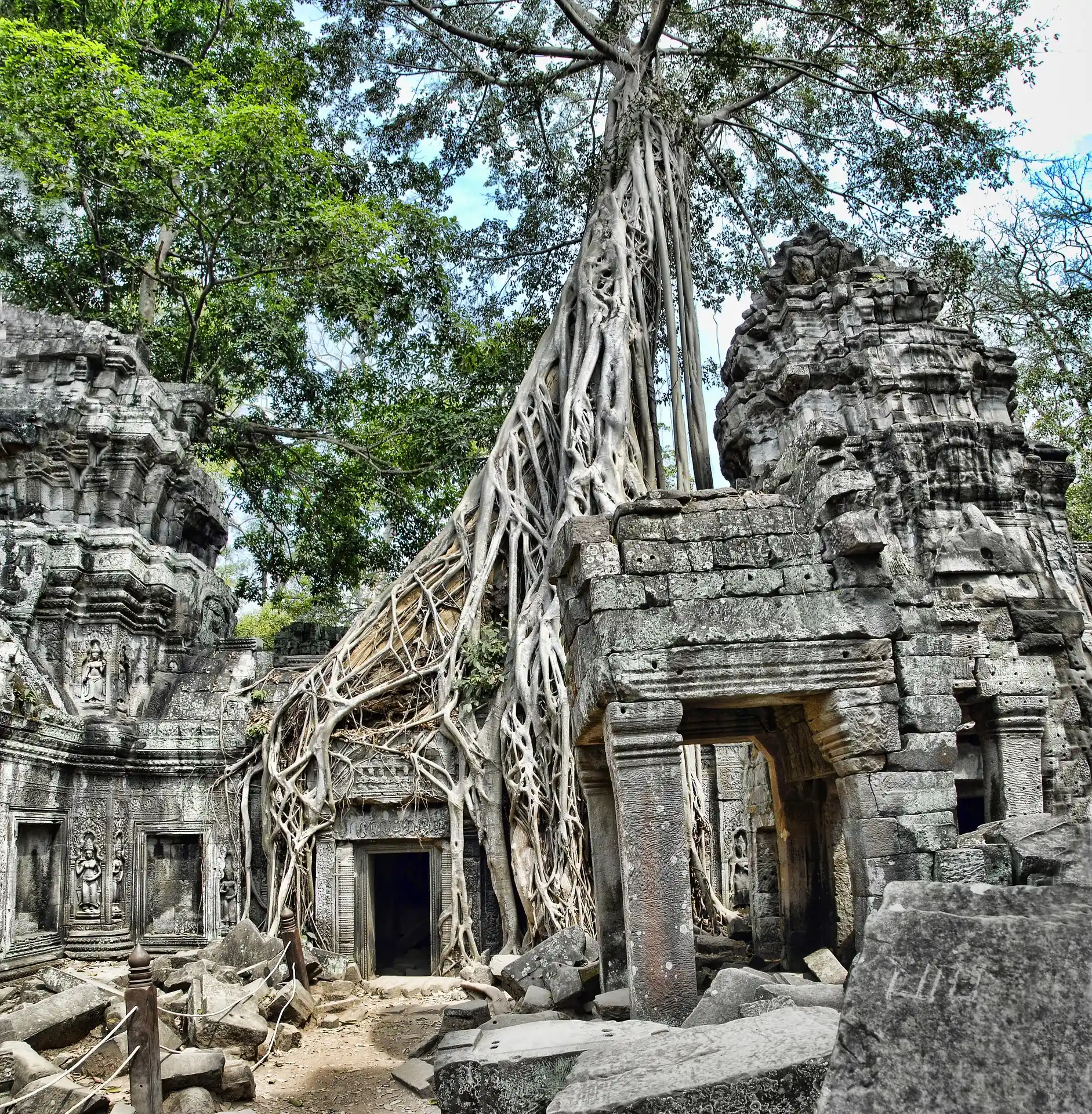Ancient Ta Prohm Temple Ruins Entwined with Giant Silk-Cotton Tree Roots