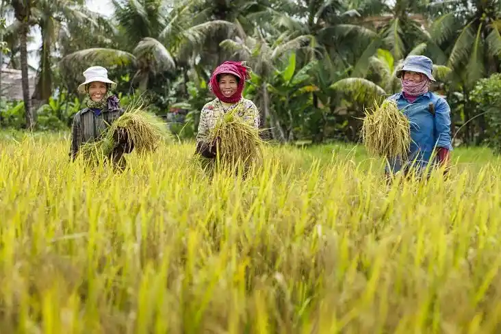 The Heart of Cambodia - Discovering Local Life and Spirit with ADT Private Guides