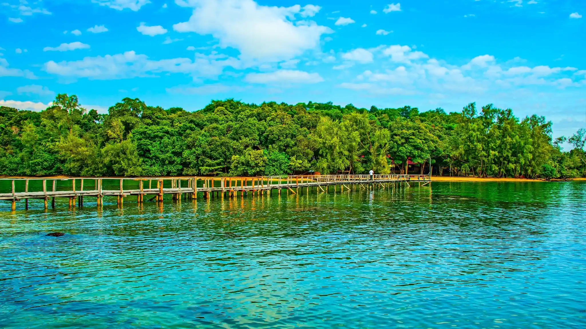 Eco-Adventure through the Mangroves and Coastline of Ream National Park